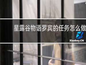 星露谷物语罗宾的任务怎么做