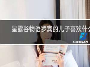 星露谷物语罗宾的儿子喜欢什么