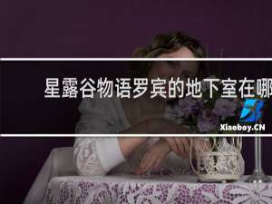 星露谷物语罗宾的地下室在哪