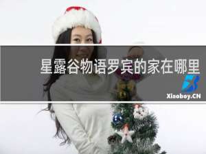 星露谷物语罗宾的家在哪里