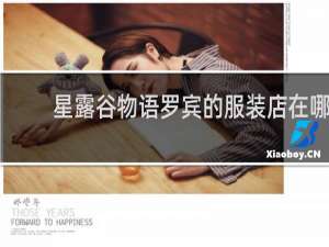 星露谷物语罗宾的服装店在哪
