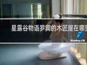 星露谷物语罗宾的木匠屋在哪里