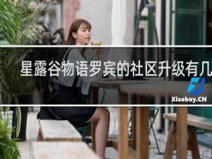星露谷物语罗宾的社区升级有几个