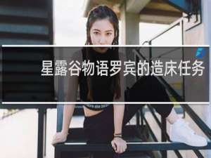 星露谷物语罗宾的造床任务