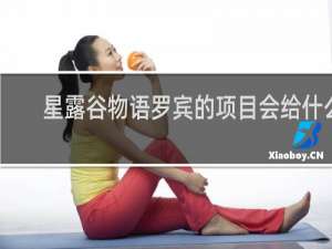 星露谷物语罗宾的项目会给什么