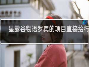 星露谷物语罗宾的项目直接给行吗