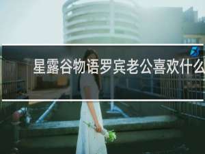 星露谷物语罗宾老公喜欢什么