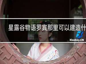 星露谷物语罗宾那里可以建造什么