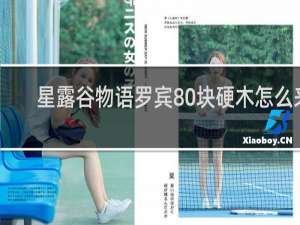 星露谷物语罗宾80块硬木怎么来