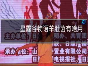 星露谷物语羊肚菌有啥用