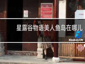 星露谷物语美人鱼岛在哪儿