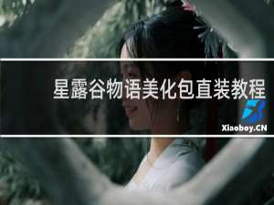 星露谷物语美化包直装教程