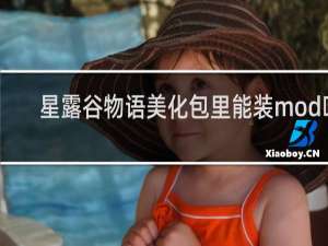 星露谷物语美化包里能装mod吗