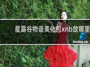 星露谷物语美化包xnb放哪里
