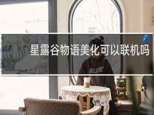 星露谷物语美化可以联机吗