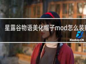 星露谷物语美化帽子mod怎么装贴吧