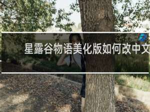 星露谷物语美化版如何改中文