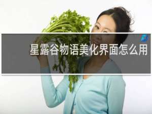 星露谷物语美化界面怎么用