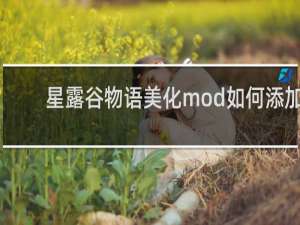 星露谷物语美化mod如何添加
