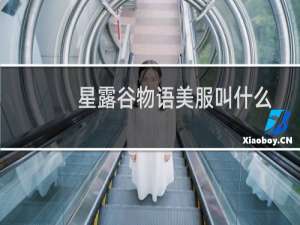 星露谷物语美服叫什么
