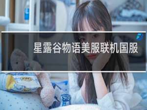 星露谷物语美服联机国服