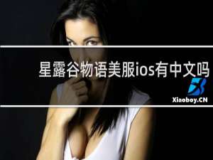 星露谷物语美服ios有中文吗