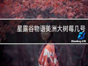 星露谷物语美洲大树莓几号