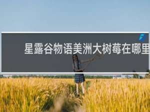 星露谷物语美洲大树莓在哪里