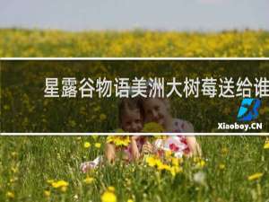 星露谷物语美洲大树莓送给谁