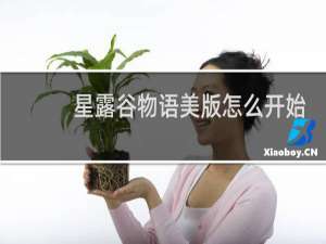 星露谷物语美版怎么开始