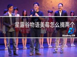 星露谷物语美莓怎么摘两个