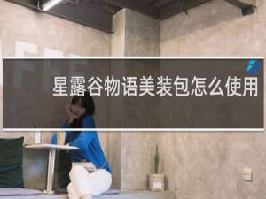 星露谷物语美装包怎么使用