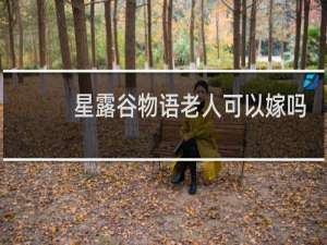 星露谷物语老人可以嫁吗