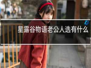 星露谷物语老公人选有什么