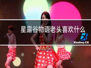 星露谷物语老头喜欢什么