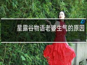 星露谷物语老婆生气的原因