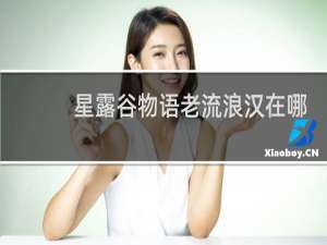 星露谷物语老流浪汉在哪