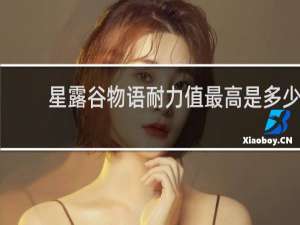 星露谷物语耐力值最高是多少