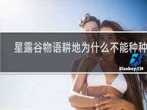 星露谷物语耕地为什么不能种种子