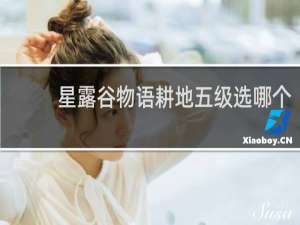 星露谷物语耕地五级选哪个