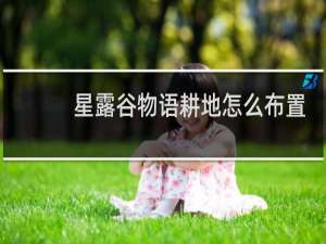 星露谷物语耕地怎么布置