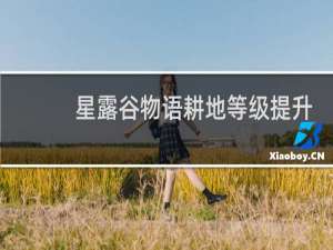 星露谷物语耕地等级提升