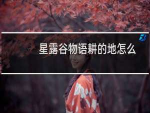 星露谷物语耕的地怎么