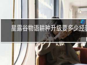 星露谷物语耕种升级要多少经验