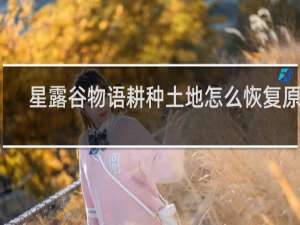星露谷物语耕种土地怎么恢复原样
