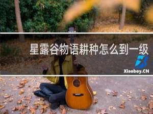 星露谷物语耕种怎么到一级