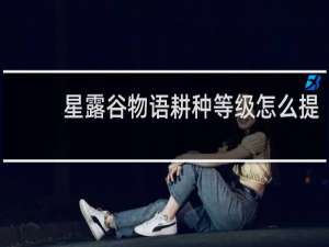 星露谷物语耕种等级怎么提