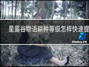 星露谷物语耕种等级怎样快速提升