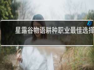 星露谷物语耕种职业最佳选择