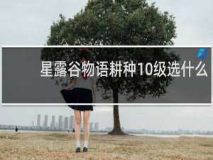 星露谷物语耕种10级选什么